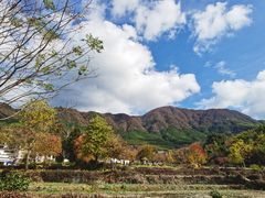 -塔川景区