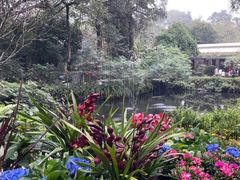 -广州兰圃