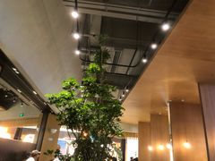 -gaga(深圳福田星河COCO Park店)