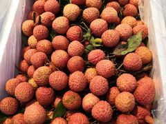 -秋林公司(北大街店)