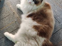 -零纪元VR体验馆·桌游(黄浦店)