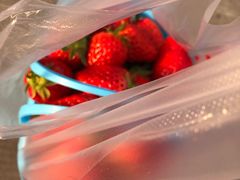 -尚田草莓姑娘白草莓采摘基地