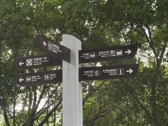 -广东花都湖国家湿地公园