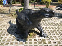 -广东惠东海龟国家级自然保护区