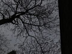-青岩古镇