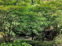 -杭州半山国家森林公园