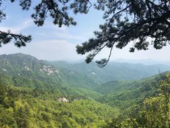-内乡宝天曼生态旅游区