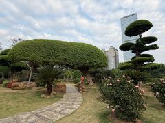 -南宁南湖公园