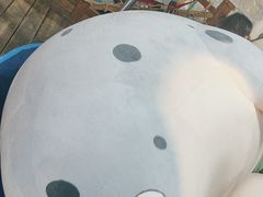 -海合安青岛极地海洋公园