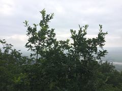 -帽儿山国家森林公园