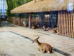 -唐山河头老街国丰维景度假大酒店