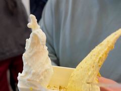 -野人先生Gelato(上海长宁龙之梦店)