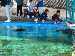 -北戴河圣蓝海洋公园