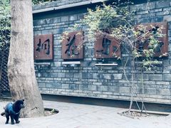 -泡桐树街