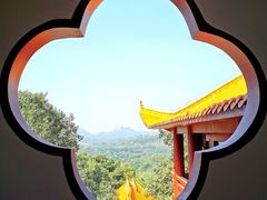 -深圳仙湖植物园