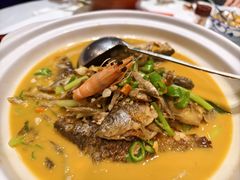 -饭怕鱼·黄焖鲟龙鱼(湖大店)