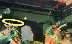 -恐龙探索乐园(磁器口店)