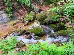 -本溪汤沟绿石谷森林公园