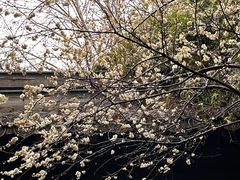 -钱王祠