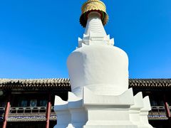 -五台山风景名胜区-罗睺寺