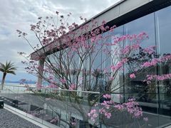 -深圳大梅沙京基洲际度假酒店