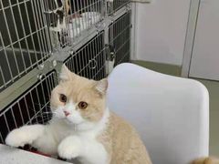 -纳吉亚猫专科动物医院·北北分院