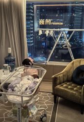 -巍阁高端月子会所