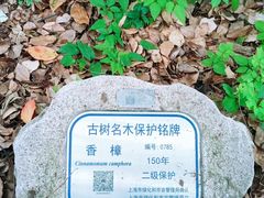 -徐家汇源景区-衡山公园