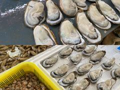 -南沙十九涌渔人码头-南门