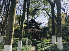 -瀛洲公园
