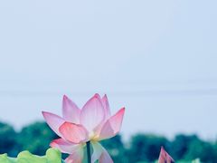 -嘉北郊野公园