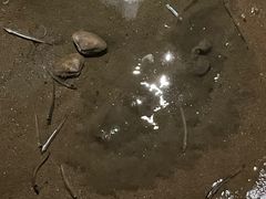 -青岛第三海水浴场