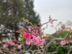 -颐和园
