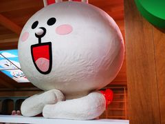 -line friends(明洞旗舰店)