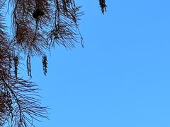 -青山湖景区