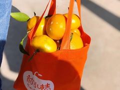 -前小桔亲子创意农场·草莓采摘·露营烧烤