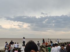 -南汇嘴观海公园