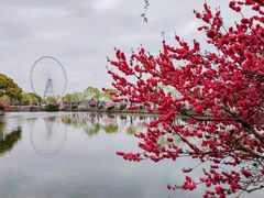 -无锡蠡湖国家湿地公园-蠡园