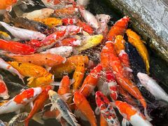 -番禺宾馆丽苑厅