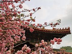 -珠海圆明新园