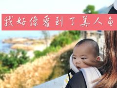 -杨梅坑