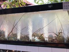 -越海渔村