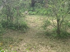 -宁波野生动物园