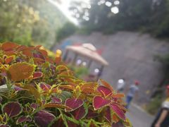 -古龙峡云天玻霸