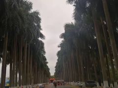 -南宁花花大世界景区