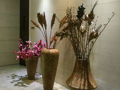 -汤泉良子·沐足·颂钵疗愈·SPA(珠江新城店)