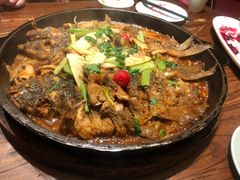 -老板恋上鱼(荣盛广场店)