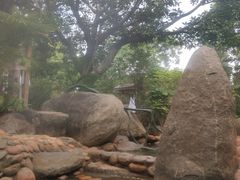 -龙佳生态温泉山庄