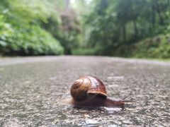 -云栖竹径