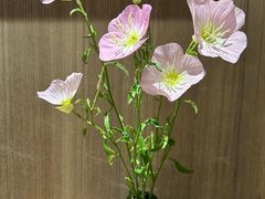 -宴昆山·私房菜(春晖店)
